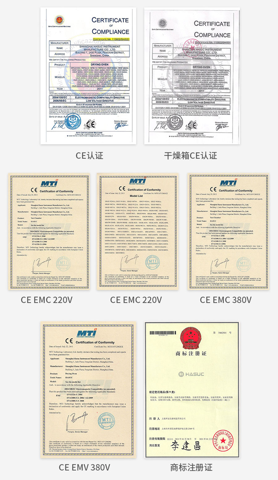 電熱恒溫鼓風(fēng)干燥箱（250度）